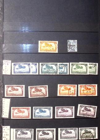 1849-1980, Ensemble d'anciens puis de plus récents