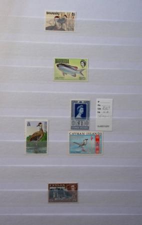 1850-1950ca Mint & used all-world selection in two