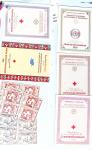 1849-2009, Une trentaine de collections en album Y