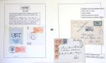 Collection de 199 pages sur la vie de Jean Mermoz montée sur feuilles Safe : quelques plis d'époque, nombreux plis commémoratifs de 1937 à nos jours,...