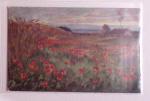 1870-1914, STRASSBURG i ELSASS: Specialised selection