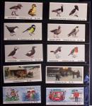 1965-2015, Collection de carnets modernes contenus