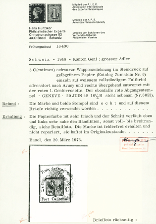 Grosser Adler, farbfrisch und allseits grünrandig (oben