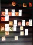 Jolie collection d'Israël en 6 classeurs, ainsi qu'un