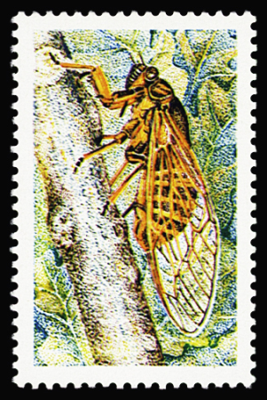 N°1946b Cigale, variété inscriptions omises, neuf **,