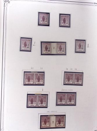 1900-1963, Solide collection en deux gros albums Y&T
