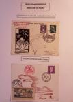 31 plis + cartes postales sur l'aviation française