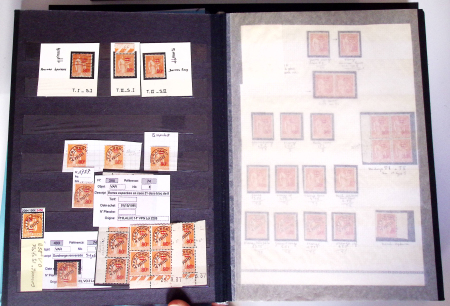 Collection de type Paix neufs (surtout **) contenu