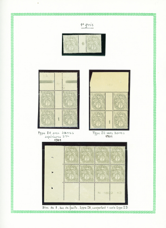 N°107 , paires et blocs sur 4 feuilles d'album don