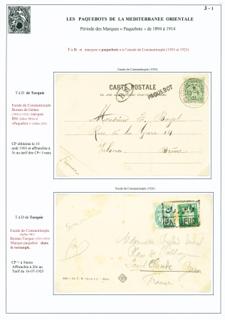 Levant n°13, 5c type Blanc OBL CAD "Constantinople