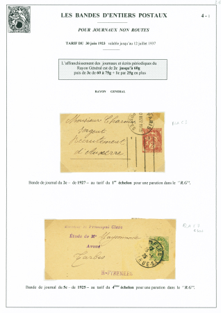 Entier bande 2c brun-lilas OBL mec de remplacement