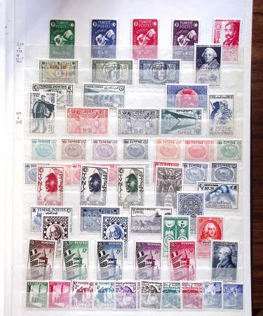 1900-50, Collection de neufs et d'oblitérés en cinq