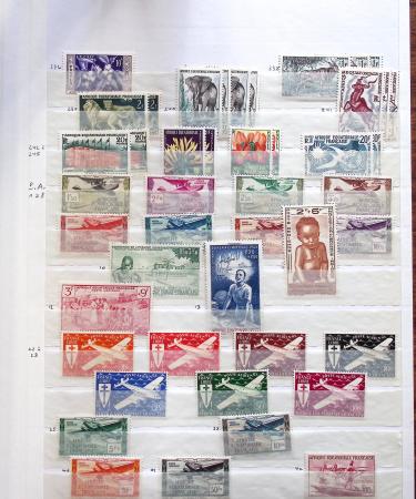 1900-50, Collection de neufs et d'oblitérés en cinq