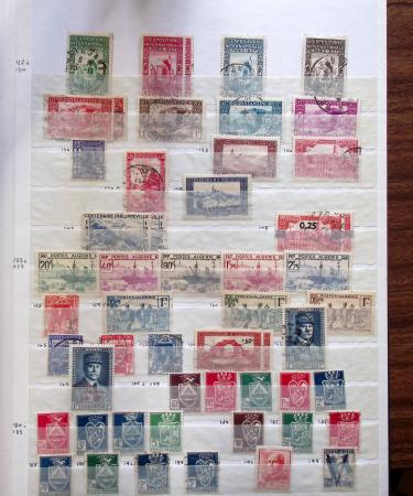 1900-50, Collection de neufs et d'oblitérés en cinq