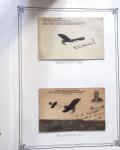 1909-18 Ensemble EXCEPTIONNEL de 351 cartes postales