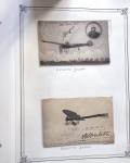 1909-18 Ensemble EXCEPTIONNEL de 351 cartes postales