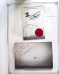 1909-18 Ensemble EXCEPTIONNEL de 351 cartes postales