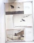 1909-18 Ensemble EXCEPTIONNEL de 351 cartes postales