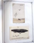 1909-18 Ensemble EXCEPTIONNEL de 351 cartes postales