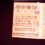 1880-2000, Bel ensemble de nombreuses colonies dont