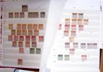 1880-1990 3 albums de timbres