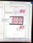 1985-1990, LE TYPE LIBERTE de Gandon, Collection d'exposition