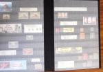 1900-2000, Collection de France en 14 classeurs, avec