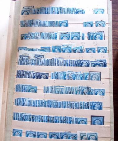 1849-1979, Important stock de timbres en 8 classeurs