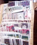 1849-1979, Important stock de timbres en 8 classeurs