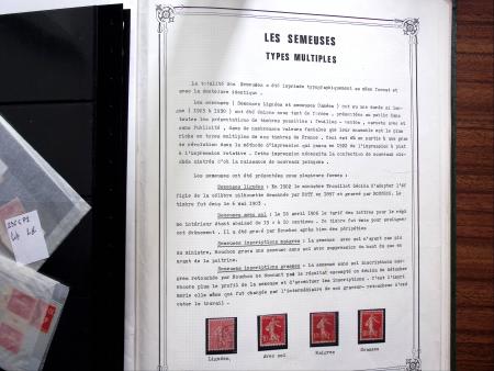1903-1938, Collection d'étude sur les SEMEUSES lignées