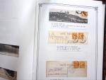 1903-1938, Collection d'étude sur les SEMEUSES lignées