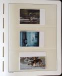 1885-2015, Sept albums Leuchtturm avec collection de