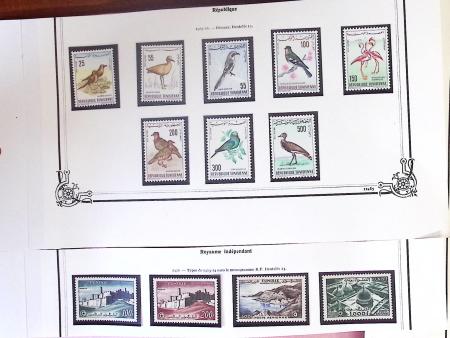 1880-1955, Plusieurs colonies françaises, principalement