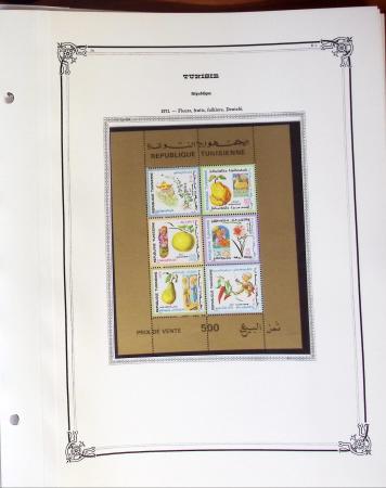 1880-1955, Plusieurs colonies françaises, principalement