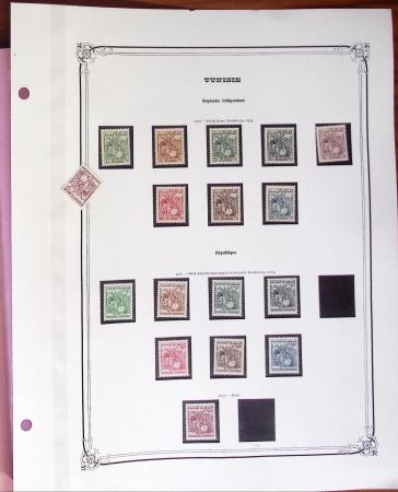 1880-1955, Plusieurs colonies françaises, principalement