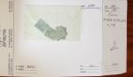 1879-1950, Sélection de bonnes valeurs des Colonies,