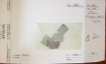 1879-1950, Sélection de bonnes valeurs des Colonies,