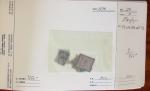 1879-1950, Sélection de bonnes valeurs des Colonies,
