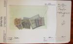1879-1950, Sélection de bonnes valeurs des Colonies,