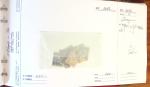 1878-1962, Sélection de bonnes valeurs des Colonies,