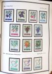 1924-1965, Collection de SYRIE et LIBAN en 3 albums