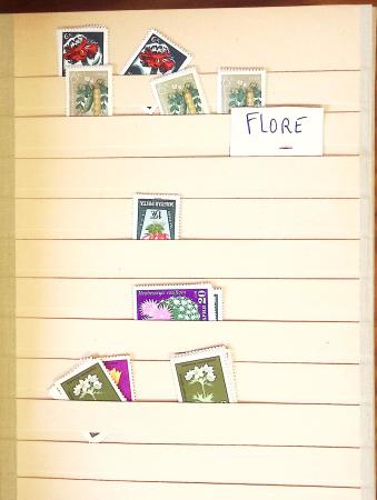 1880-1980 Fine mint and used stock in 15 large MOC stockbooks,