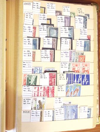 1870-1980 Mint & used stock in ten large MOC albums, neatly ordered