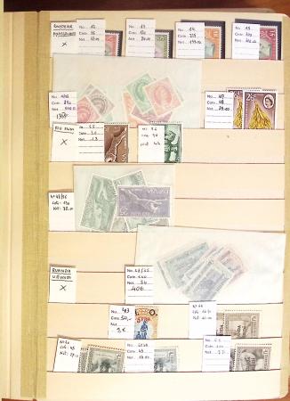 1870-1980 Mint & used stock in ten large MOC albums, neatly ordered
