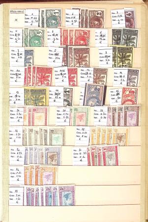 1859-1979, Excellent stock des colonies proprement