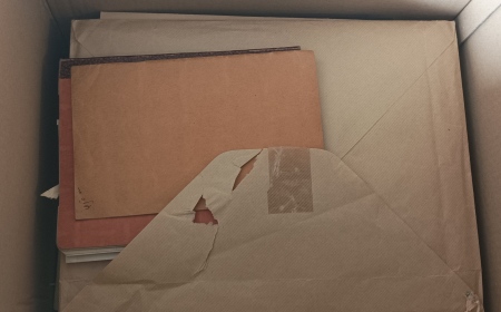 1850-1970, Lot of several different sets of album pages
