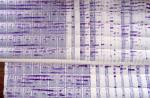 Lot de 5 CARNETS d'INDOCHINE : N°131b, 132a (x3), plus