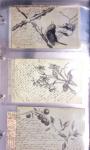 Lot de 77 entiers cartes postales 10c Mouchon et 10c Mouchon retouché avec illustrations dessinées ou peintes à la main. TB