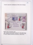 Collection de 82 plis dans un classeur de bureau blanc avec descriptions : "Dix-huit ans de liaisons postales aériennes avec Madagascar (1929 - 1946)"
