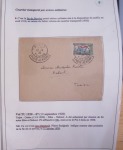 Collection de 126 plis : "Courriers aéropostaux vers et à partir de la Tunisie (1916 - 1943) dans un classeur de bureau blanc dont 4 plis Service postal aviation militaire sud tunisien